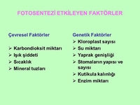 Fotosentezi Etkileyen Faktörler Nelerdir?